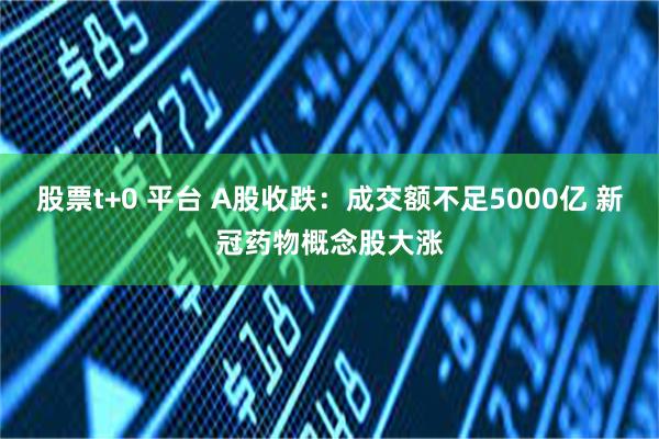 股票t+0 平台 A股收跌：成交额不足5000亿 新冠药物概念股大涨