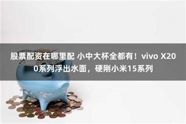 股票配资在哪里配 小中大杯全都有！vivo X200系列浮出水面，硬刚小米15系列