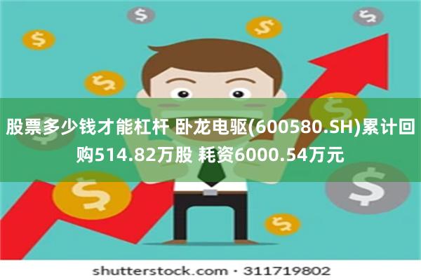 股票多少钱才能杠杆 卧龙电驱(600580.SH)累计回购514.82万股 耗资6000.54万元