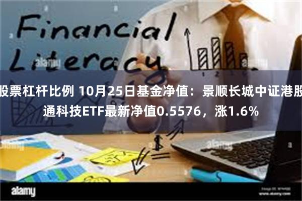 股票杠杆比例 10月25日基金净值：景顺长城中证港股通科技ETF最新净值0.5576，涨1.6%