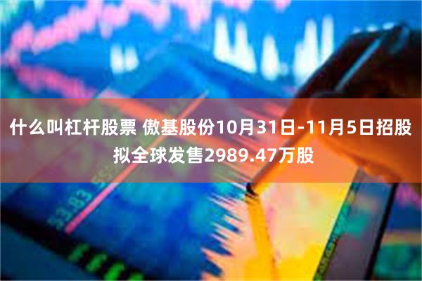 什么叫杠杆股票 傲基股份10月31日-11月5日招股 拟全球发售2989.47万股