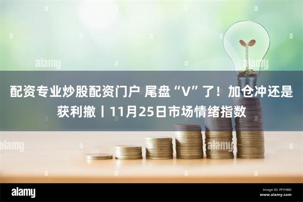 配资专业炒股配资门户 尾盘“V”了！加仓冲还是获利撤丨11月25日市场情绪指数