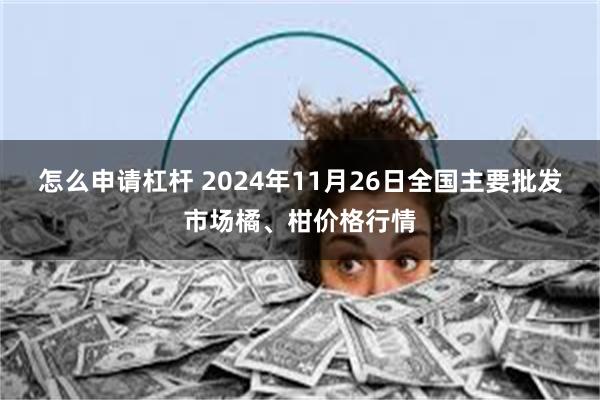 怎么申请杠杆 2024年11月26日全国主要批发市场橘、柑价格行情